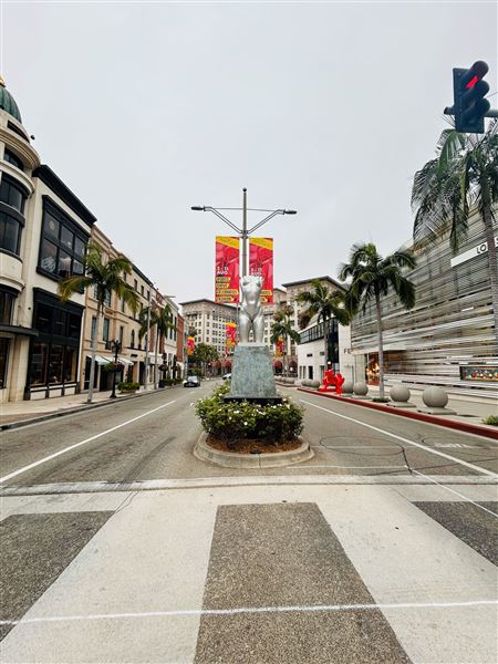 Rodeo Drive - Beverly Hills (7/12/2024 - Credits: Brandy Davis)