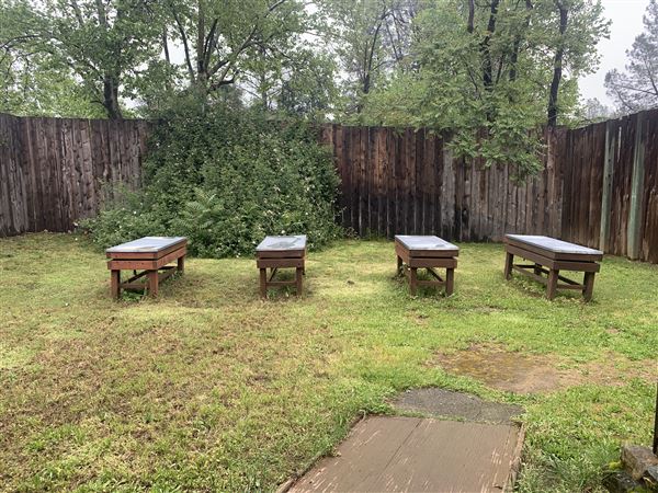 Shasta State Historic Park (SHP) (5/4/2024 - Credits: Brandy Davis)