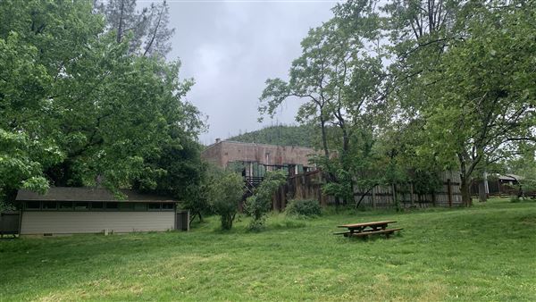 Shasta State Historic Park (SHP) (5/4/2024 - Credits: Brandy Davis)