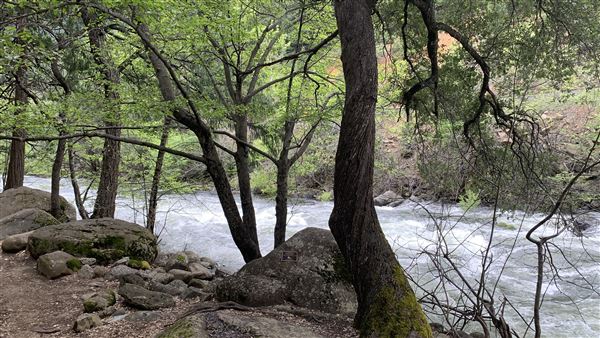 Dunsmuir City Park Sacramento River (5/4/2024 - Credits: Brandy Davis)