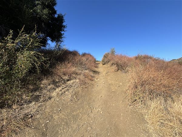 Malibu Creek State Park (SP) - M*A*S*H* Site Location (7/31/2024 - Credits: Brandy Davis)