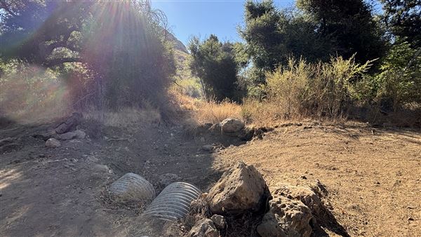 Malibu Creek State Park (SP) - M*A*S*H* Site Location (7/31/2024 - Credits: Brandy Davis)