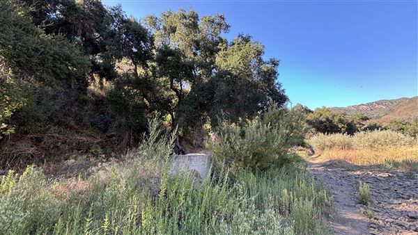Malibu Creek State Park (SP) - M*A*S*H* Site Location (7/31/2024 - Credits: Brandy Davis)