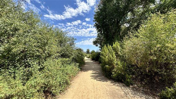 Sepulveda Basin Wildlife Preserve / Woodley Park - entrance and trail to lake/pond. (8/2/2024 - Credits: Brandy Davis)
