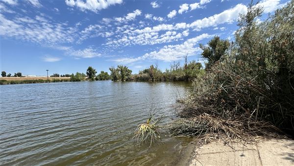 Sepulveda Basin Wildlife Preserve / Woodley Park (8/2/2024 - Credits: Brandy Davis)