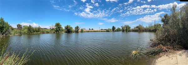 Sepulveda Basin Wildlife Preserve / Woodley Park (8/2/2024 - Credits: Brandy Davis)