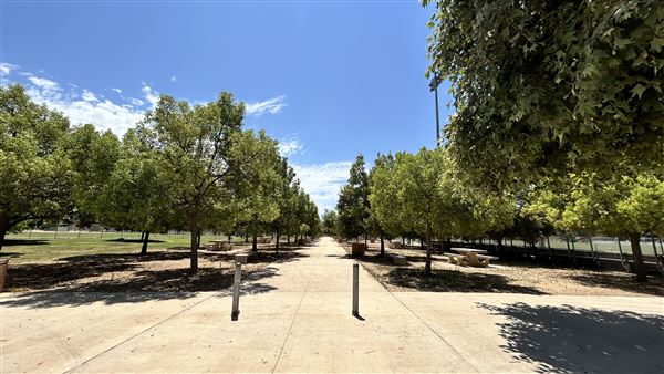 Sepulveda Basin Sports Complex (8/2/2024 - Credits: Brandy Davis)