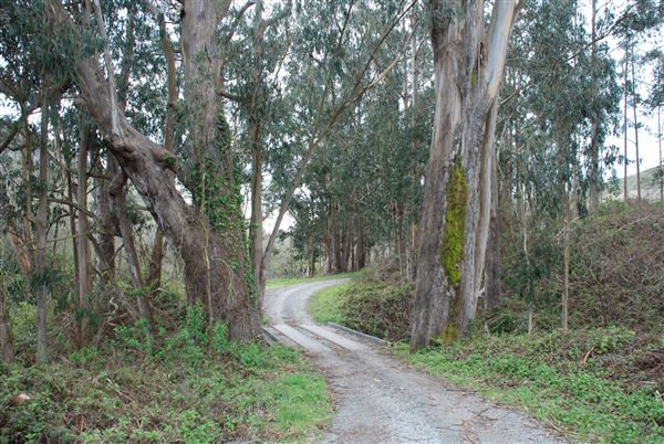 Burleigh H. Murray Ranch Park Property (8/5/2024 - Credits: Coastside State Parks Association)