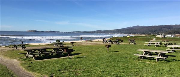 Half Moon Bay State Beach (SB) (8/5/2024 - Credits: Coastside State Parks Association)