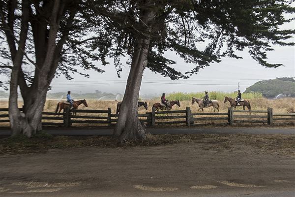 Half Moon Bay State Beach (SB) (8/5/2024 - Credits: Photo Courtesy of California State Parks 2024)
