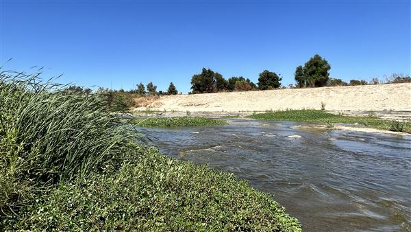 Sepulveda Dam (8/20/2024 - Credits: Brandy Davis)