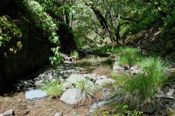 Vichy Springs Resort and Inn - Waterfall walk (5/8/2024 - Credits: Gilbert Ashoff)