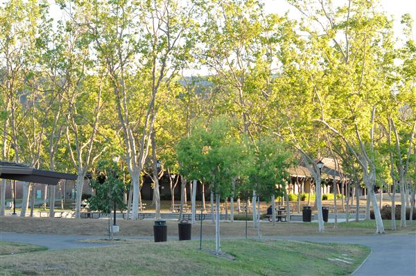 Foothill Community College (9/6/2024 - Credits: Marketing Department)