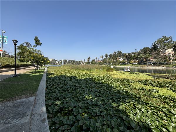 Echo Park Lake Recreation Center (9/17/2024 - Credits: Brandy Davis)