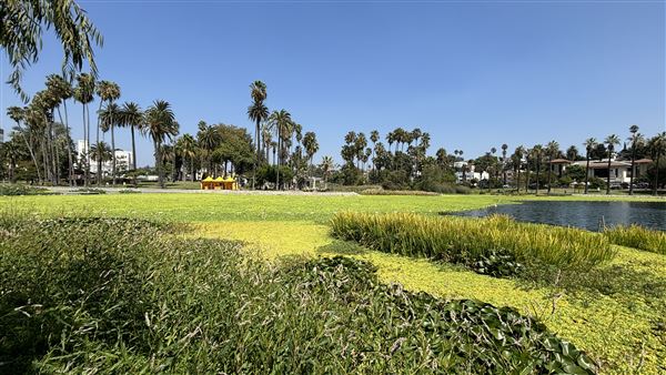 Echo Park Lake Recreation Center (9/17/2024 - Credits: Brandy Davis)