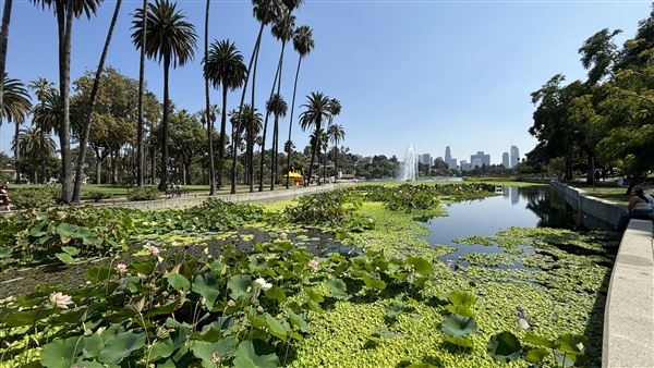 Echo Park Lake Recreation Center (9/17/2024 - Credits: Brandy Davis)