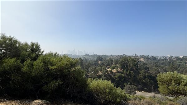 Elysian Park - Angels Point (6/22/2024 - Credits: Brandy Davis)