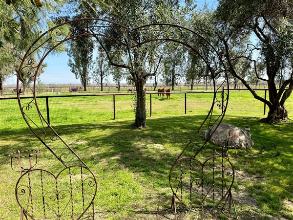 Stockdale Ranch (10/11/2024 - Credits: Stockdale Ranch)
