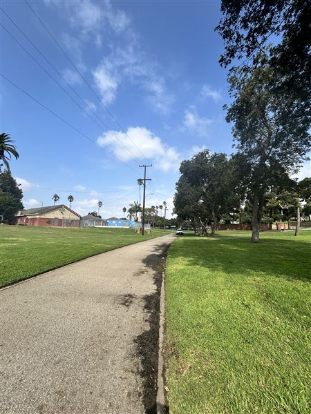 Edward Vincent Park - Paths (10/17/2024 - Credits: Brandy Davis)