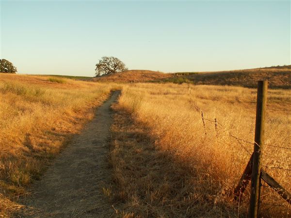 Crane Creek Regional Park (10/29/2024 - Credits: Sonoma County)