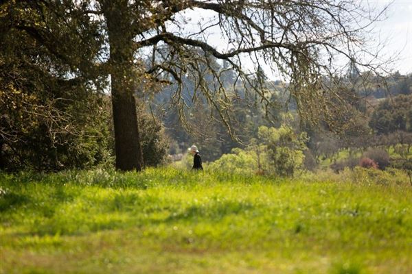 Ragle Ranch Regional Park (10/29/2024 - Credits: Sonoma County)