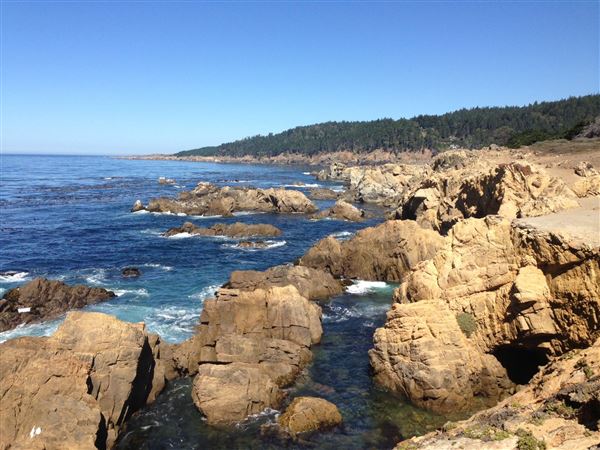 Stillwater Cove Regional Park (10/29/2024 - Credits: Sonoma County)