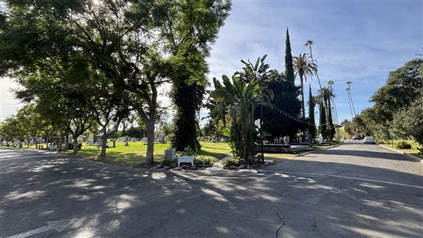 Hollywood Forever Cemetery (11/7/2024 - Credits: Brandy Davis)