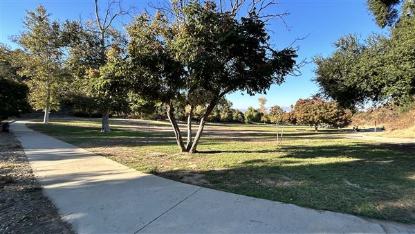 Serrania Park (11/8/2024 - Credits: Brandy Davis)