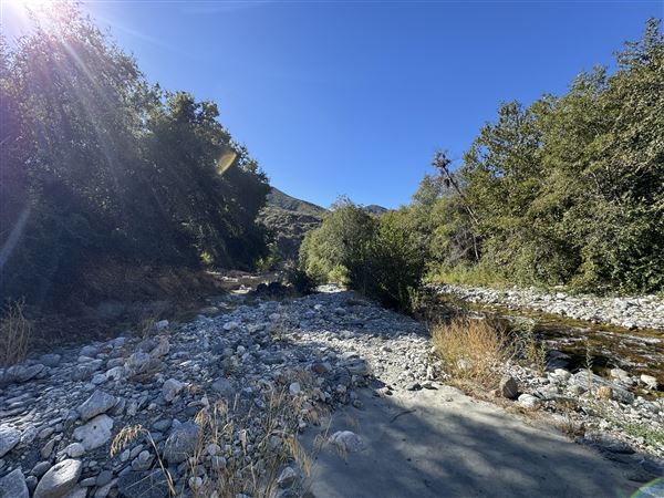 Camp Williams Resort (11/14/2024 - Credits: submitted by: Amar Patel)