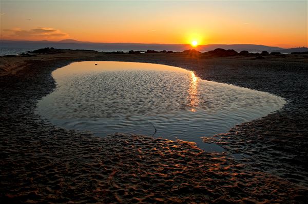 Folsom Lake State Recreation Area (SRA) (11/17/2011 - Credits: Brian Baer)