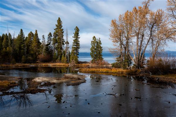 Ed Z'berg Sugar Pine Point State Park (SP) / Hellman-Ehrman Mansion (11/13/2019 - Credits: Brian Baer)