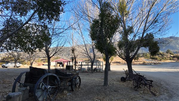 Twin Pines Ranch (1/13/2025)