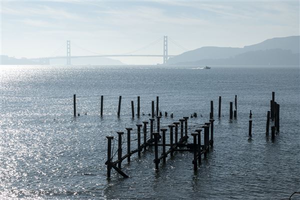 Angel Island State Park (SP) (12/10/2024 - Credits: Brian Baer)
