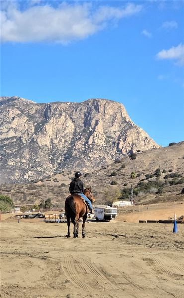 River Oaks Ranch (2/14/2025 - Credits: Laurel Manning, Billy Ortiz, Shelly Lewis)