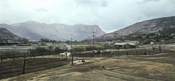 River Oaks Ranch (2/14/2025 - Credits: Laurel Manning, Billy Ortiz, Shelly Lewis)