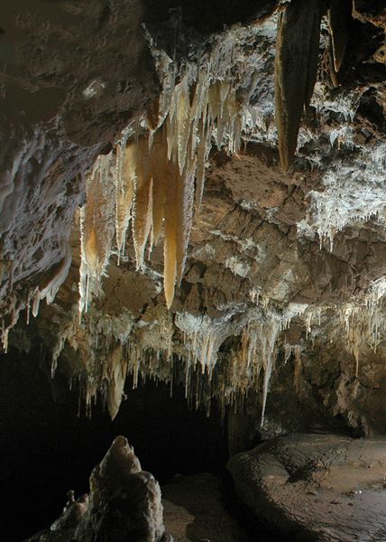 California Caverns at Cave City - Historical Landmark - Stalactites and stalagmites in the Jungle Room, part of the commercial tour in California Caverns. (9/11/2009 - Credits: By Dave Bunnell - Own work, CC BY 3.0, https://commons.wikimedia.org/w/index.php?curid=7783082)