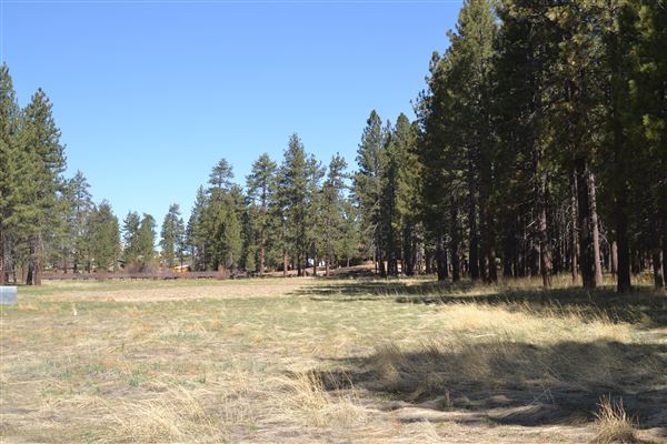 Camp Whittle (3/3/2025 - Credits: CS Team Member)