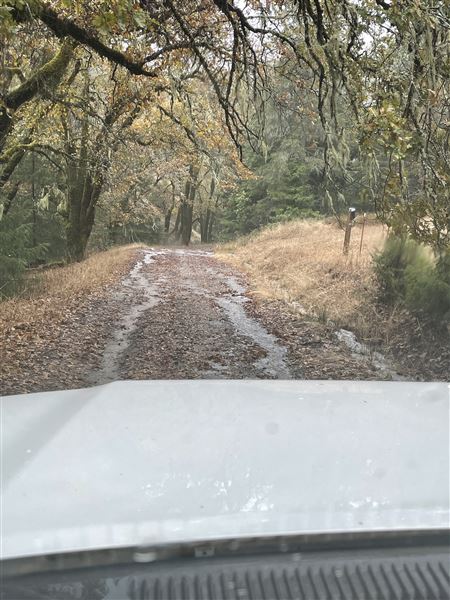 Long Creek Ranch (3/5/2025 - Credits: The Larsen Family)