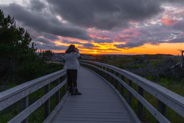 Asilomar State Beach and Conference Grounds (5/9/2023 - Credits: Brian Baer)