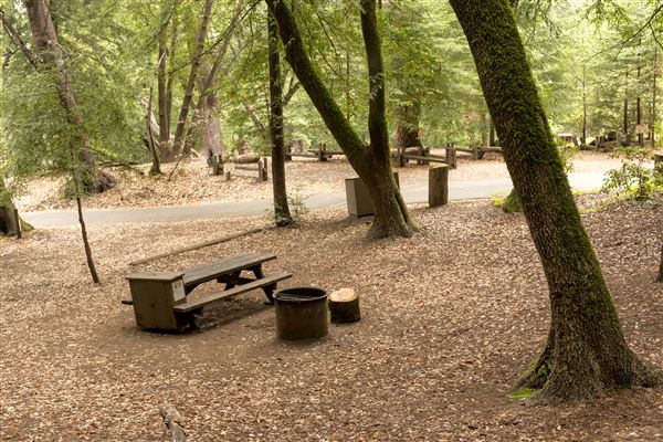 Austin Creek State Recreation Area (SRA) (5/26/2015 - Credits: Brian Baer)
