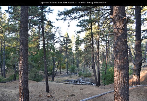 Cuyamaca Rancho State Park (SP), Lake Cuyamaca and Grand Valley Rapids (9/30/2017 - Credits: Brandy Shimabukuro)