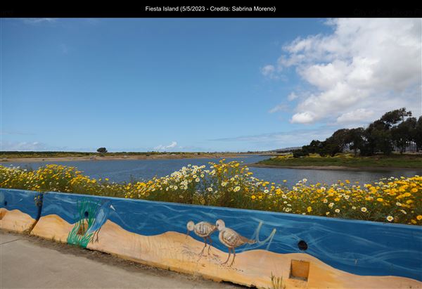 Fiesta Island (5/5/2023 - Credits: Sabrina Moreno)
