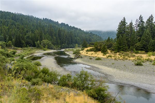 Benbow State Recreation Area (SRA) (8/22/2017 - Credits: Brian Baer)