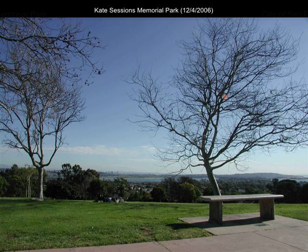 Kate Sessions Memorial Park (12/4/2006 - Credits: San Diego Film Commision)