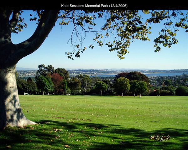 Kate Sessions Memorial Park (12/4/2006 - Credits: San Diego Film Commision)