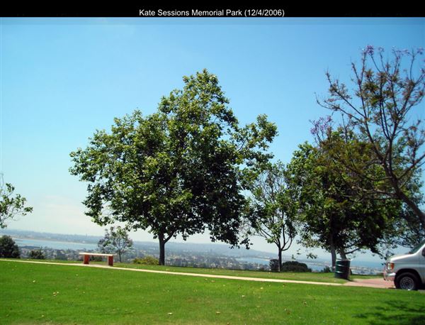 Kate Sessions Memorial Park (12/4/2006 - Credits: San Diego Film Commision)