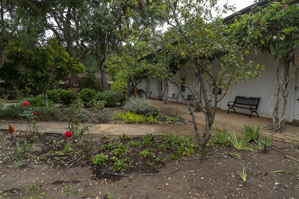 Rancho San Andres Castro Adobe Park Property (10/14/2024 - Credits: Brian Baer)