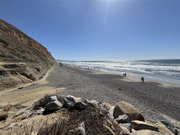 Torrey Pines State Beach (SB) (3/8/2025 - Credits: Brandy Davis)
