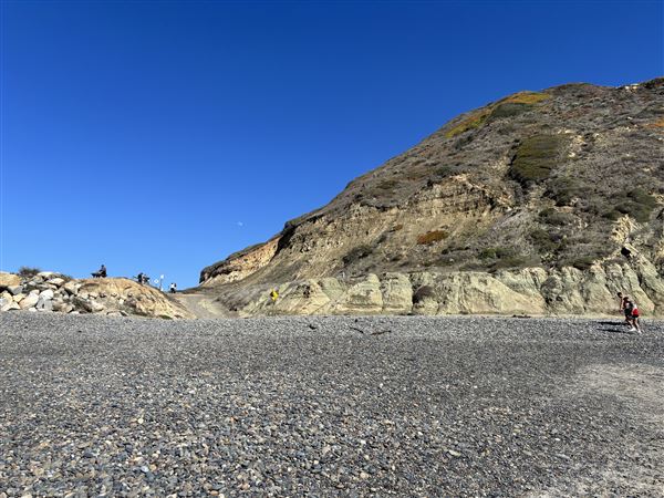 Torrey Pines State Beach (SB) (3/8/2025 - Credits: Brandy Davis)