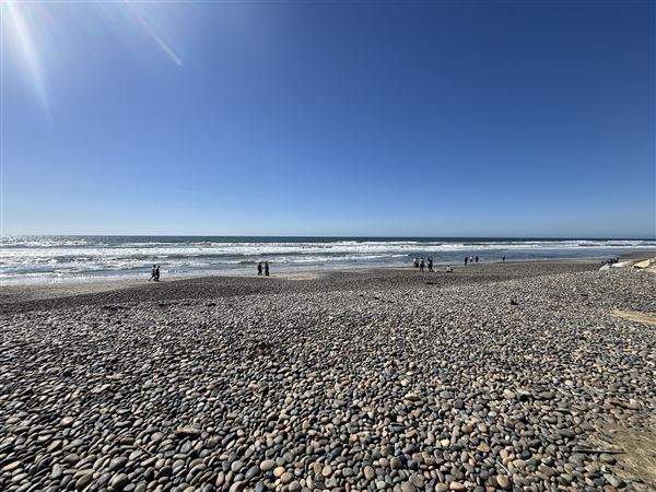 Torrey Pines State Beach (SB) (3/8/2025 - Credits: Brandy Davis)